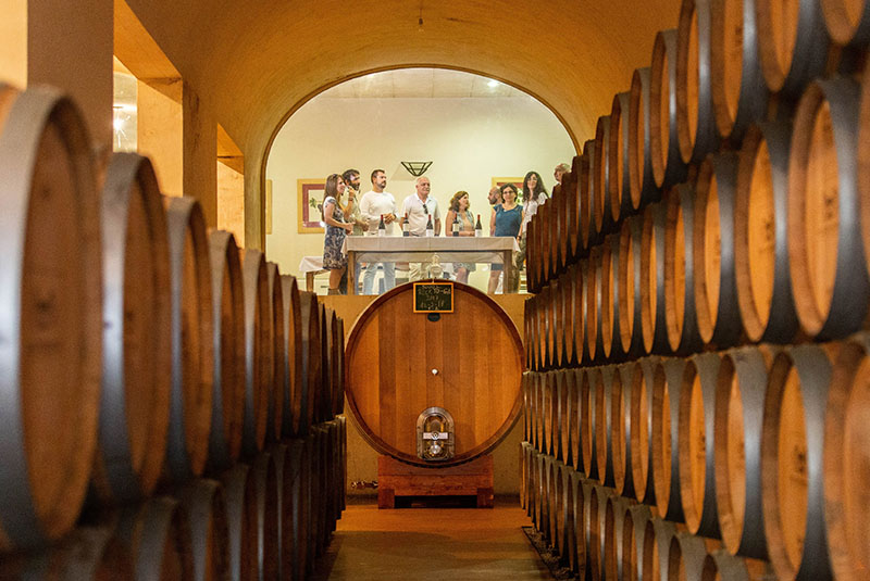 Bodega Palacio Quemado-photo