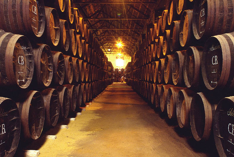 Bodegas Alvear-photo