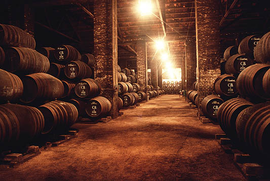 Bodegas Alvear-photo