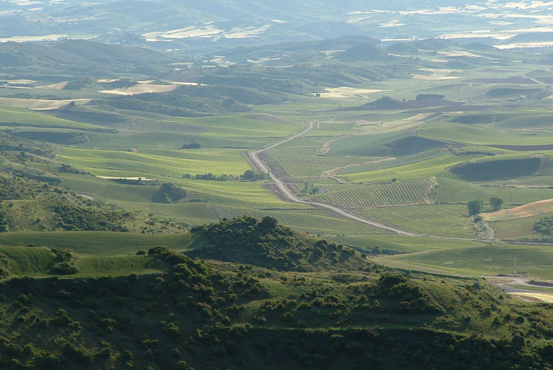 Bodegas Nekeas-photo