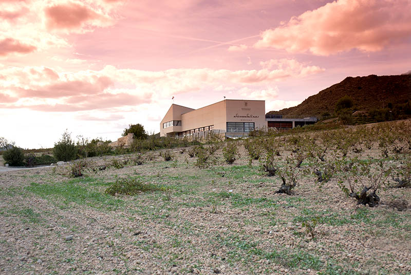 Bodegas Sierra Salinas-photo