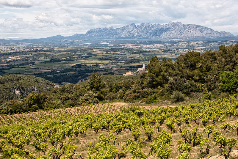 winery-photo