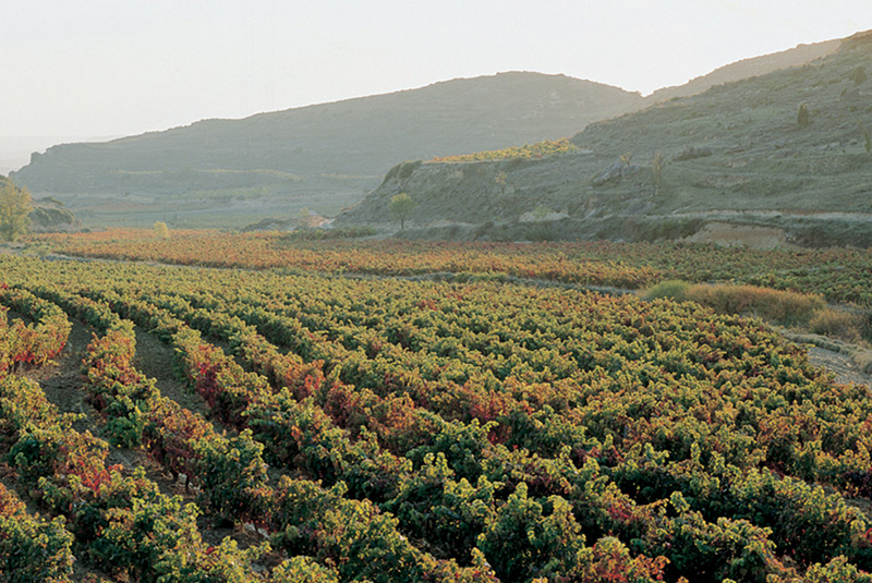 Señorío de San Vicente-photo