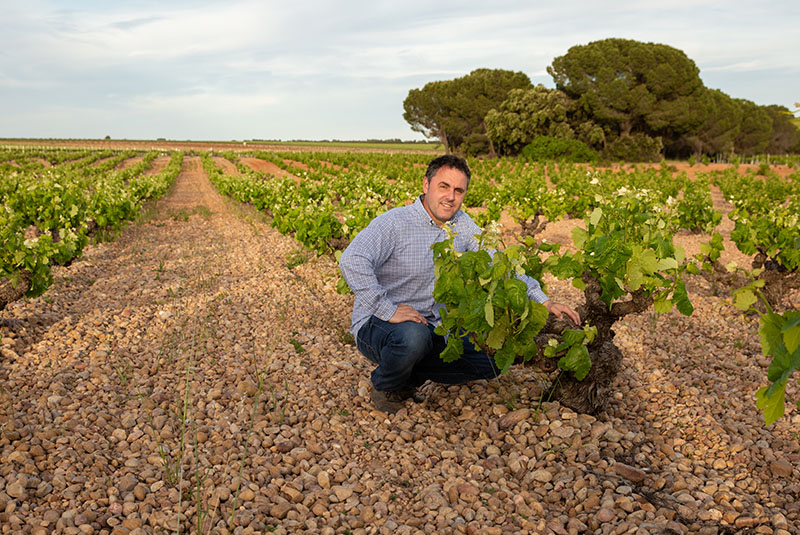 Vinos Aurelio García - Micaela Rubio-photo